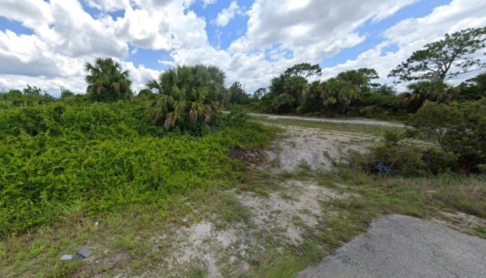 3021 66TH ST WLEHIGH ACRES FL 33971